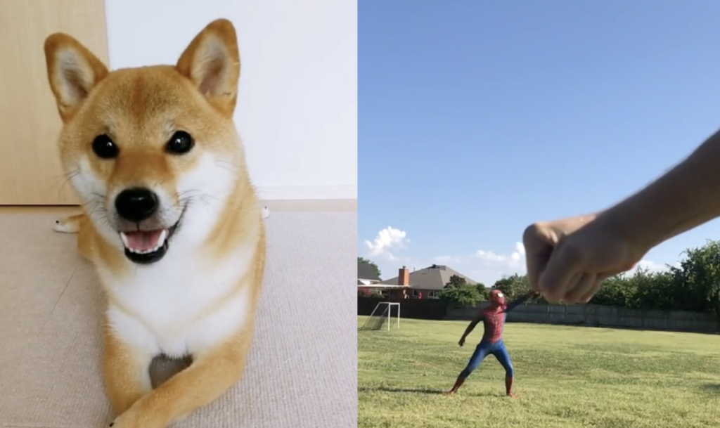 TikTok to Restore Its Services in US